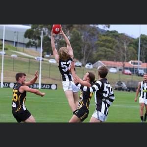 Meet your Posher, Bailey